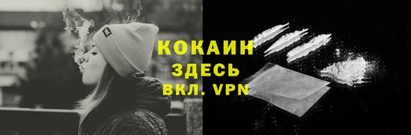 бошки Дмитриев