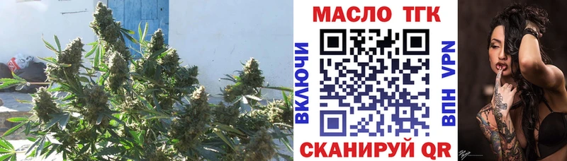 mega ссылки  купить  цена  Самара  Дистиллят ТГК гашишное масло 